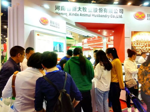 新大智道亮相中原畜牧業交易博覽會，信息咨詢服務引領養豬行業新變革